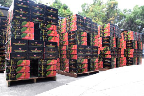 17443434492274653654.jpg 17443434492274653654.jpg